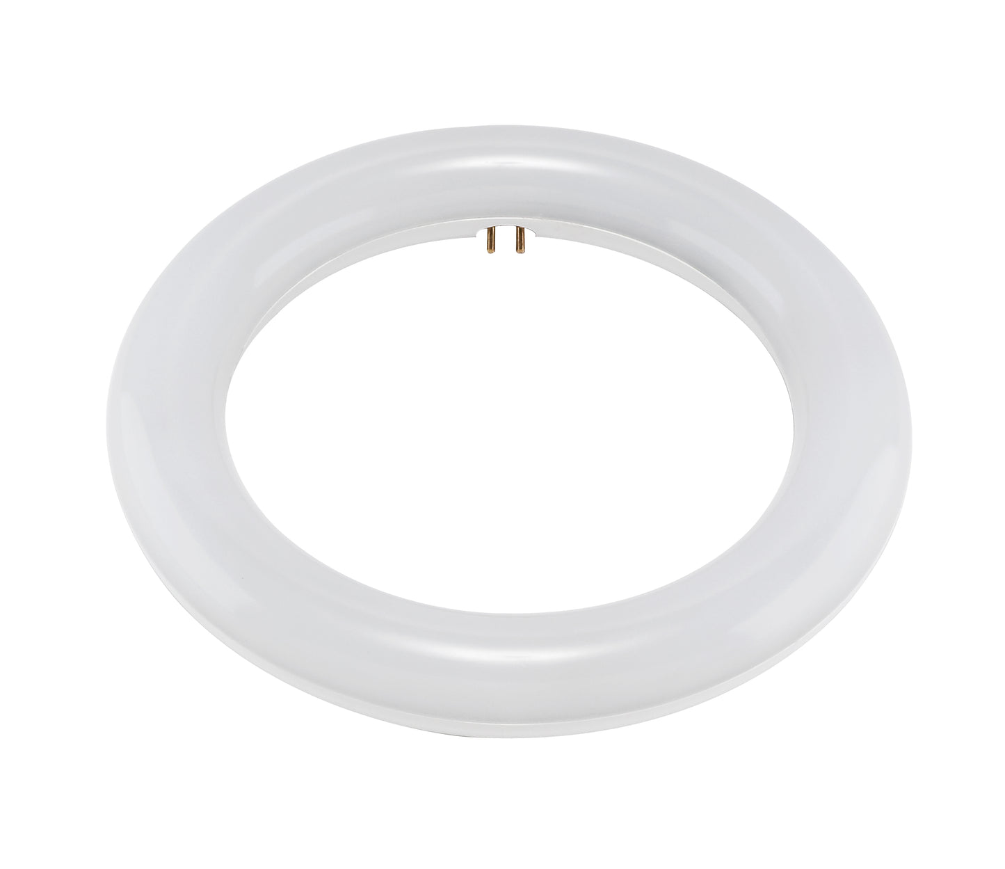 LED Circline; 11 Watt; T9; 6500K; G10Q Base; 120-277 Volt; Type B; Ballast Bypass