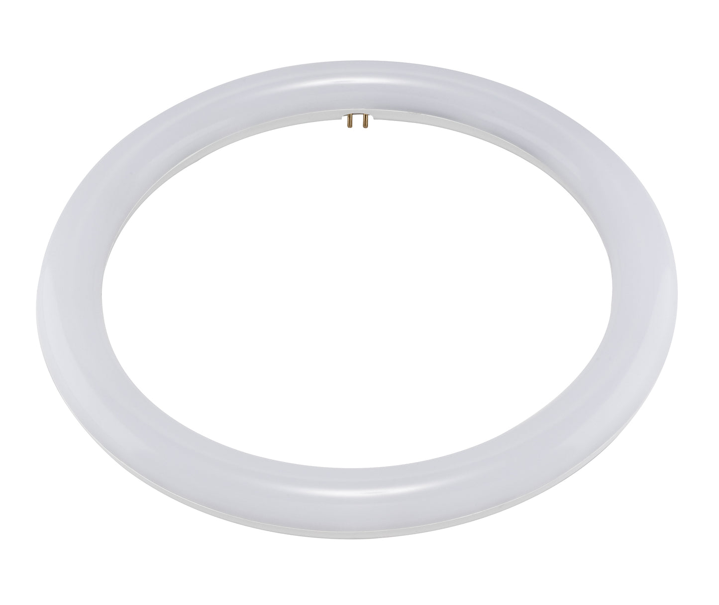 LED Circline; 16 Watt; T9; 3000K; G10Q Base; 120-277 Volt; Type B; Ballast Bypass