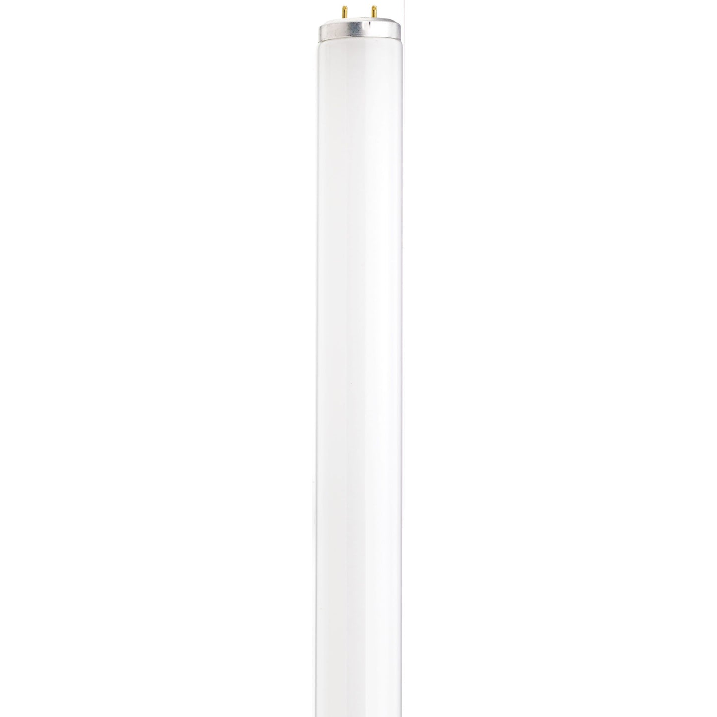 25 Watt; 30 Inch Linear Fluorescent T12; Medium Bi-pin (G13) Base