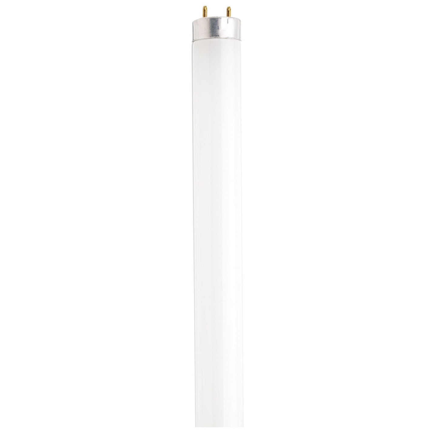 25 Watt; T8; Fluorescent; 3000K Warm White; 82 CRI; Medium Bi Pin base