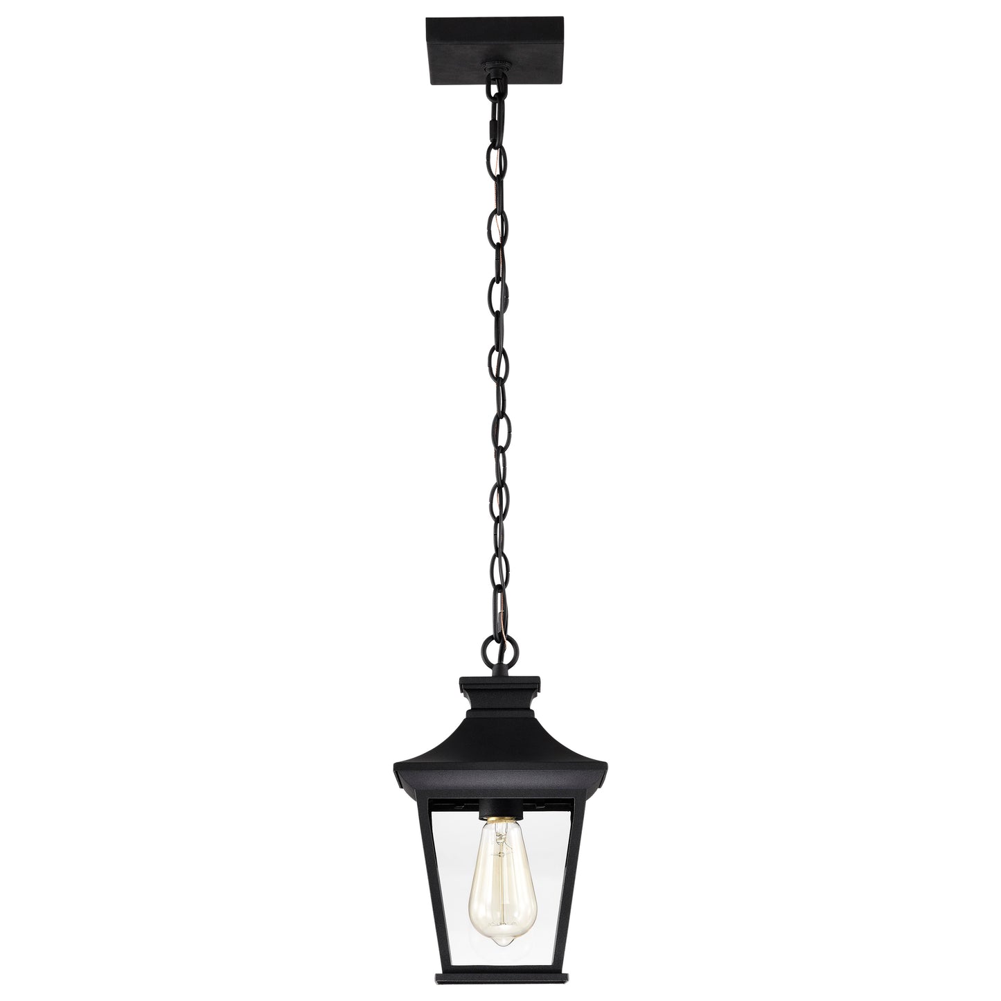 Jasper Collection Outdoor 12 inch Hanging Light - Matte Black Finish with Clear Glass