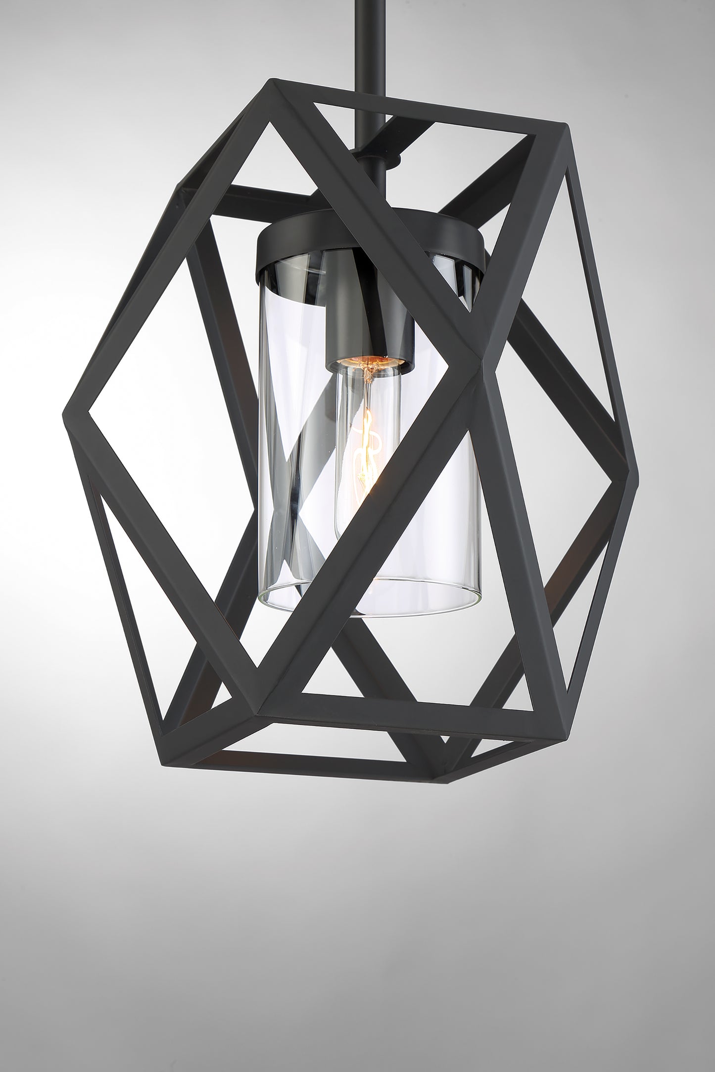 Zemi - 1 Light Mini Pendant with Clear Glass - Black Finish