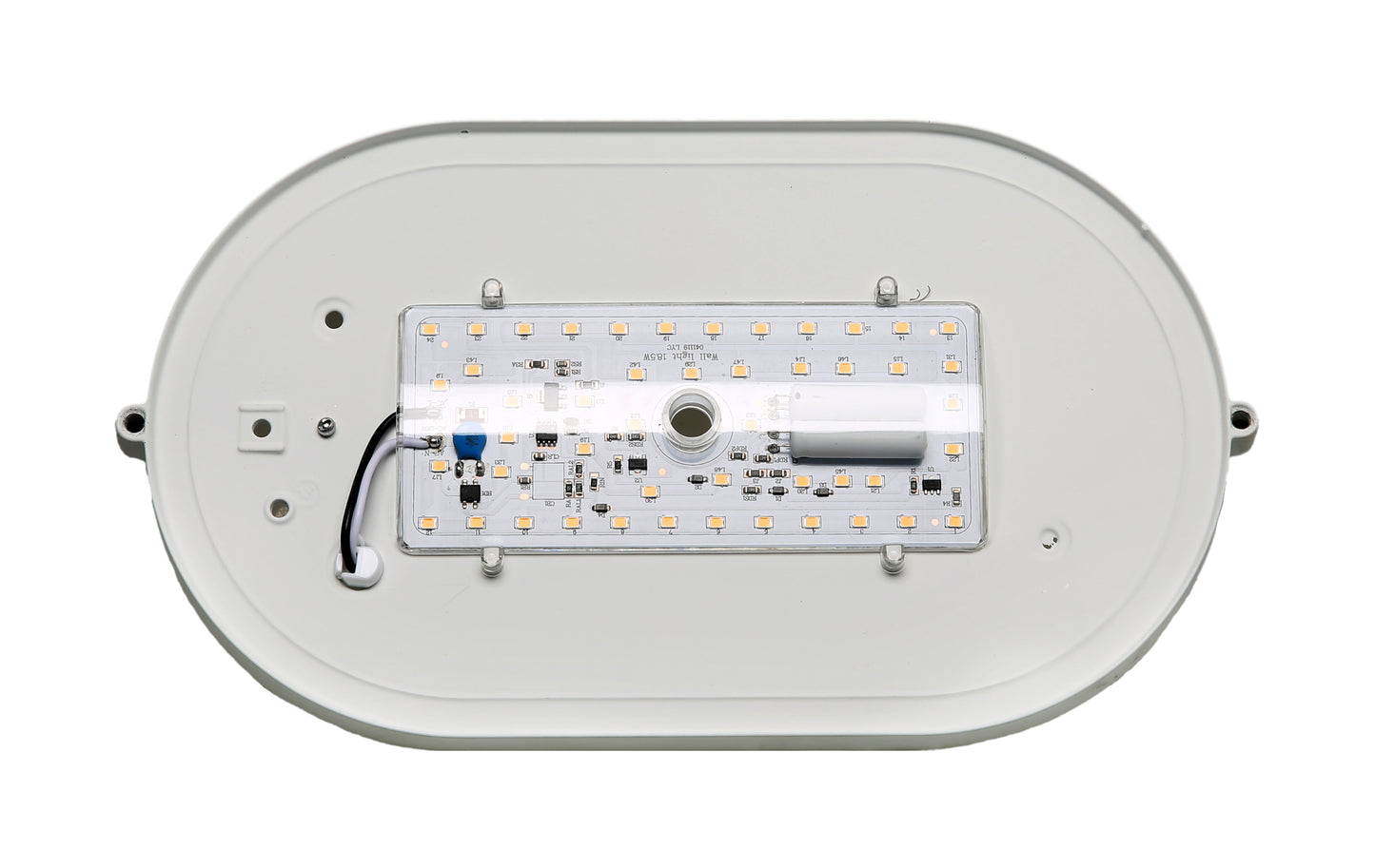 LED Oval Bulk Head Fixture; White Finish with White Glass