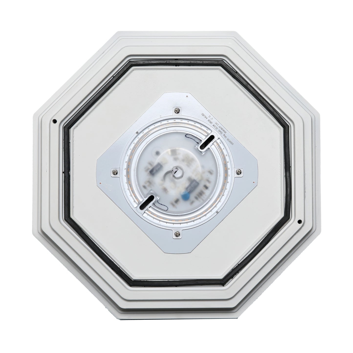 LED Spider Cage Fixture; Black Finish with Frosted Glass