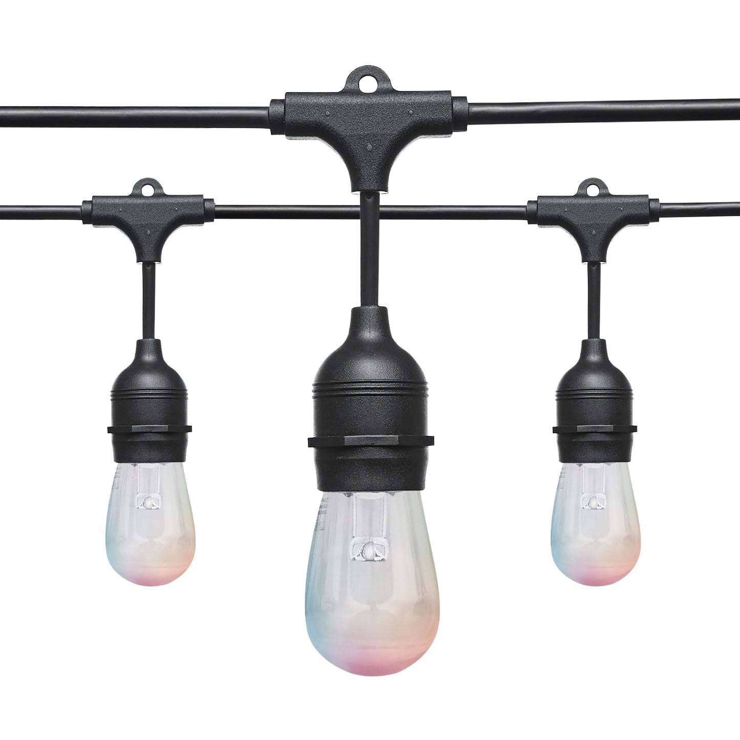 Starfish WiFI Smart LED Indoor/Outdoor 24 ft. String Lights