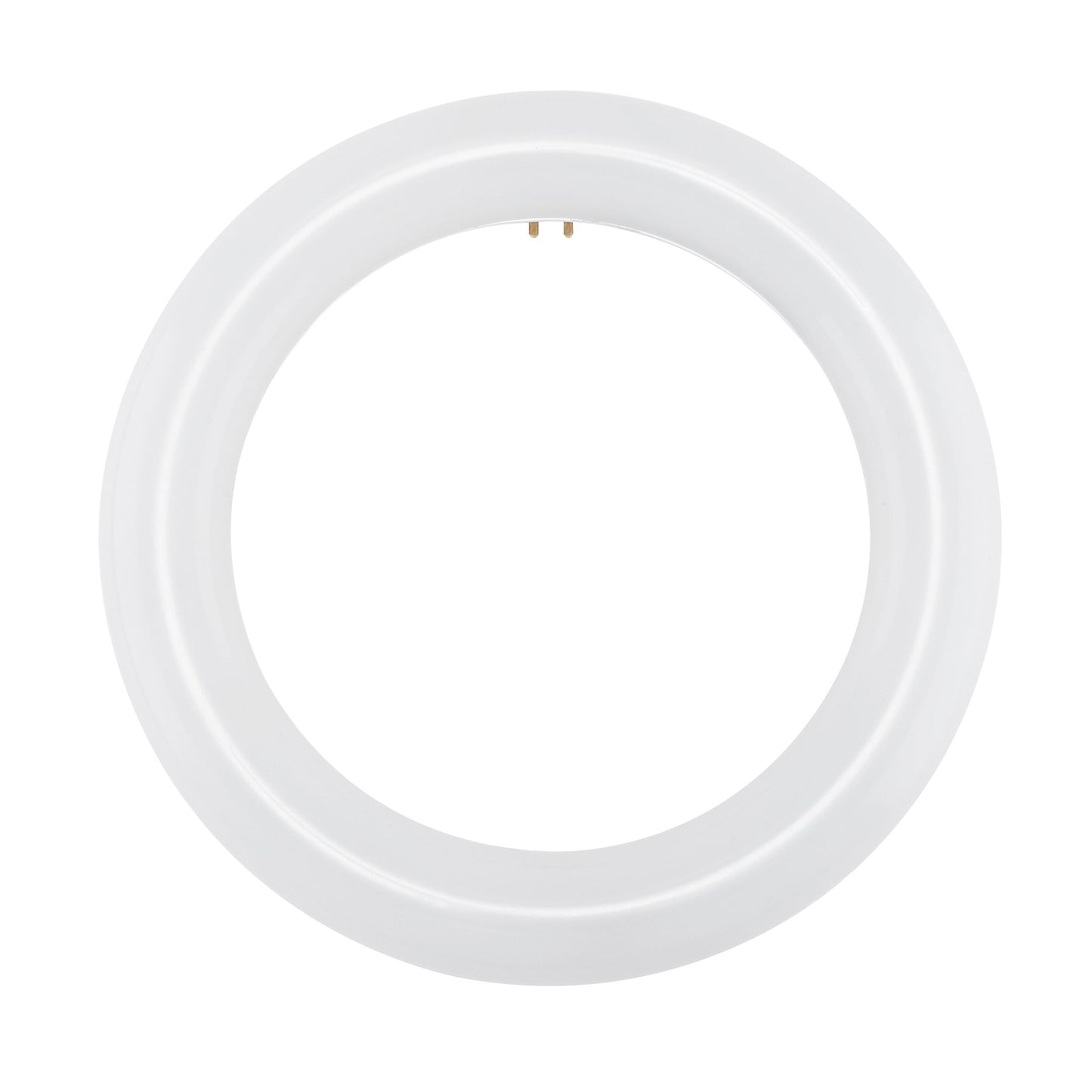 LED Circline; 11 Watt; T9; 6500K; G10Q Base; 120-277 Volt; Type B; Ballast Bypass