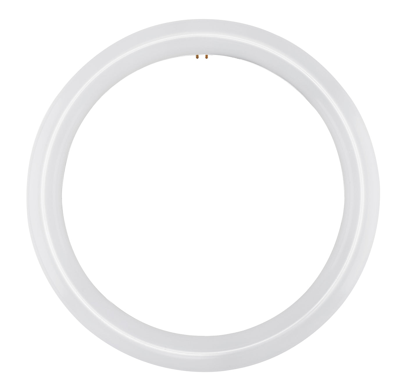 LED Circline; 16 Watt; T9; 3000K; G10Q Base; 120-277 Volt; Type B; Ballast Bypass