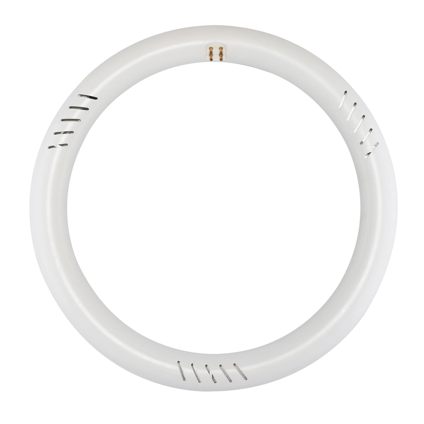 LED Circline; 16 Watt; T9; 6500K; G10Q Base; 120-277 Volt; Type B; Ballast Bypass