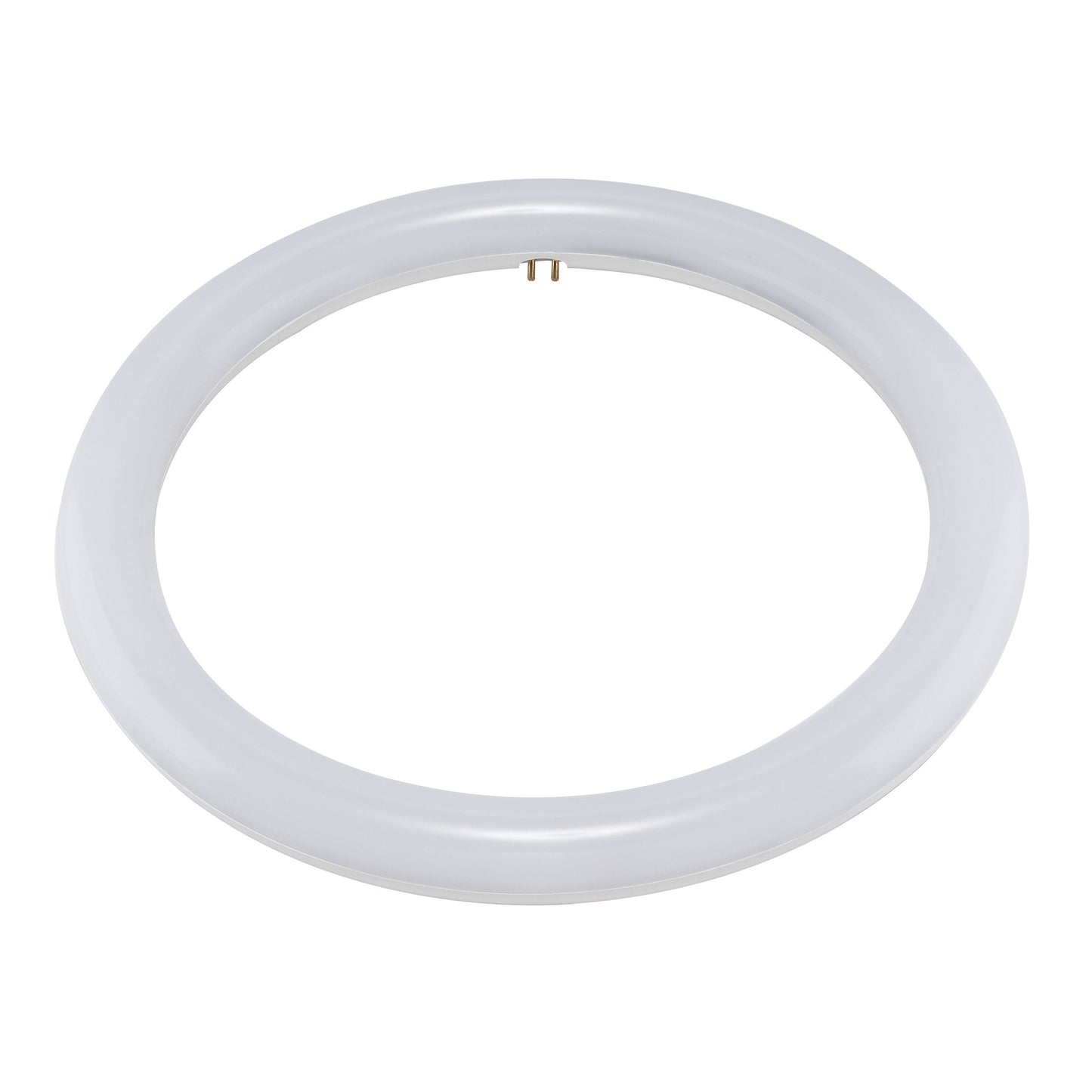 LED Circline; 16 Watt; T9; 6500K; G10Q Base; 120-277 Volt; Type B; Ballast Bypass